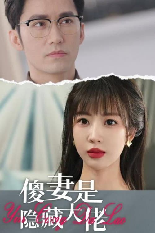 傻妻是隐藏大佬 Season 1 poster