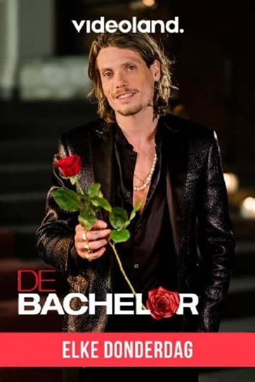 De Bachelor Season 1 poster