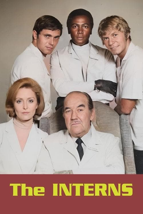 The Interns Season 1 poster