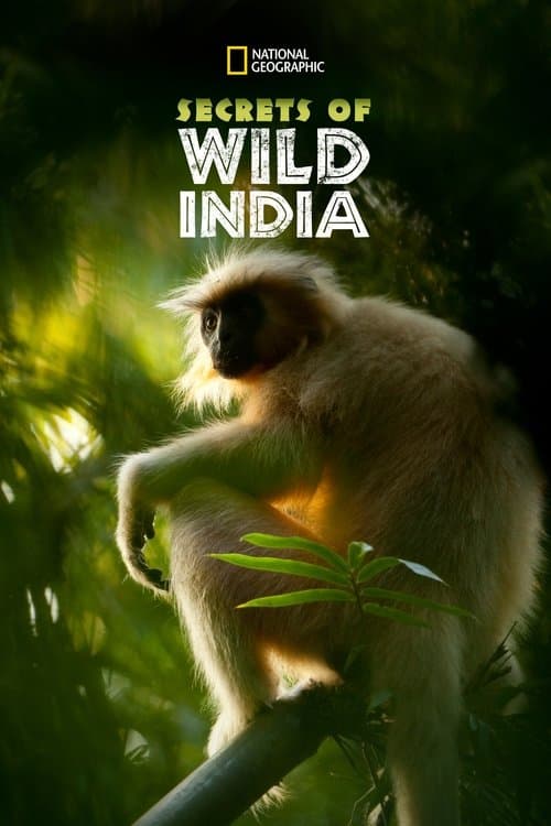 Secrets of Wild India Season 1 poster