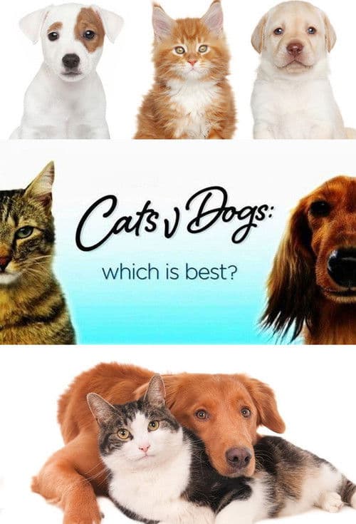 Cats v Dogs: Which is Best? Season 1 poster