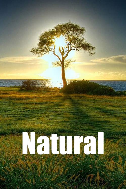 Natural Season 1 poster
