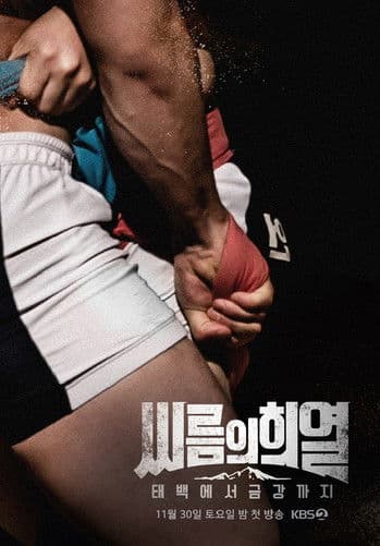 씨름의 희열 - 태백에서 금강까지 Season 1 poster