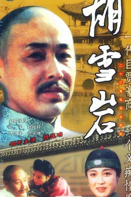 胡雪岩 Season 1 poster
