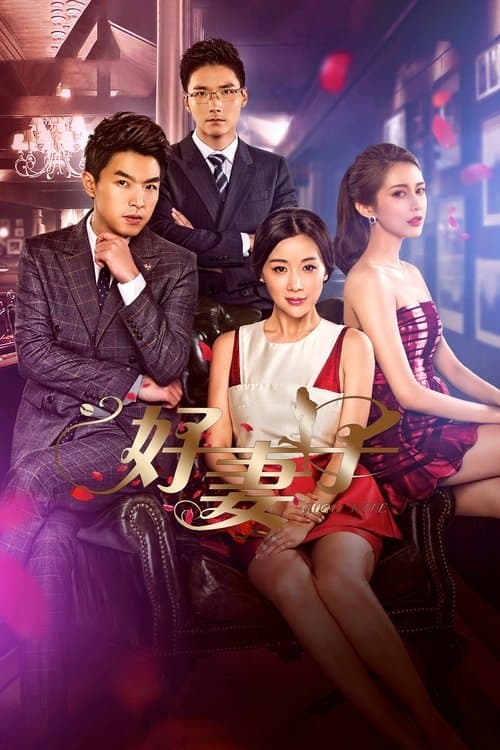 Good Wife Season 1 poster