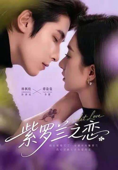 紫罗兰之恋 Season 1 poster