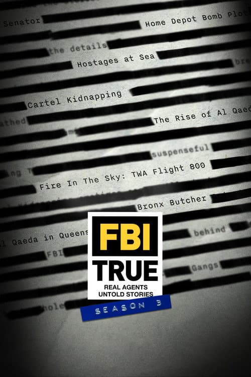 FBI TRUE Season 3 poster