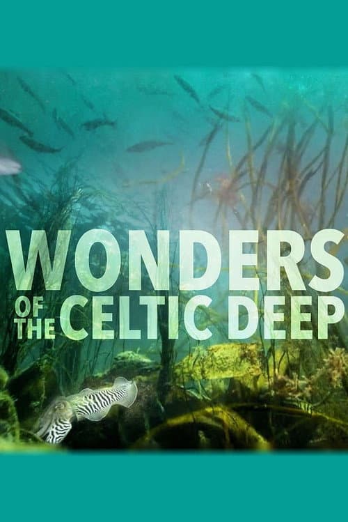 Wonders of the Celtic Deep Season 1 poster