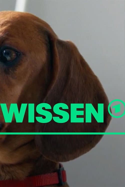 [W] wie Wissen Season 2 poster