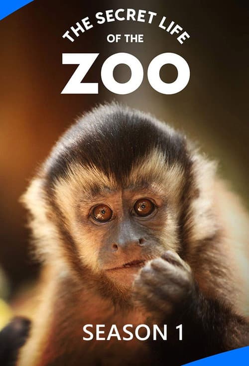 The Secret Life of the Zoo Season 1 poster