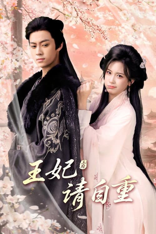 王妃请自重 Season 1 poster