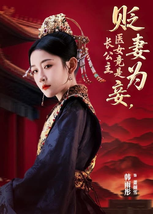 贬妻为妾，医女竟是长公主 Season 1 poster