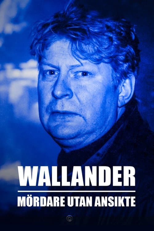 Mördare utan ansikte Miniseries poster