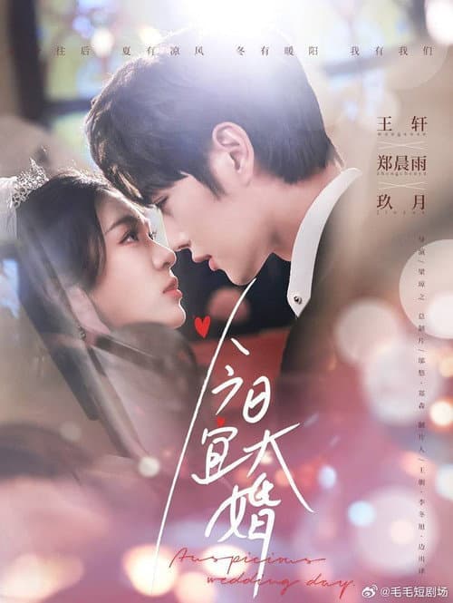 今日宜大婚 Season 1 poster