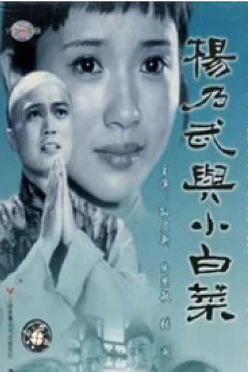 杨乃武与小白菜 Season 1 poster