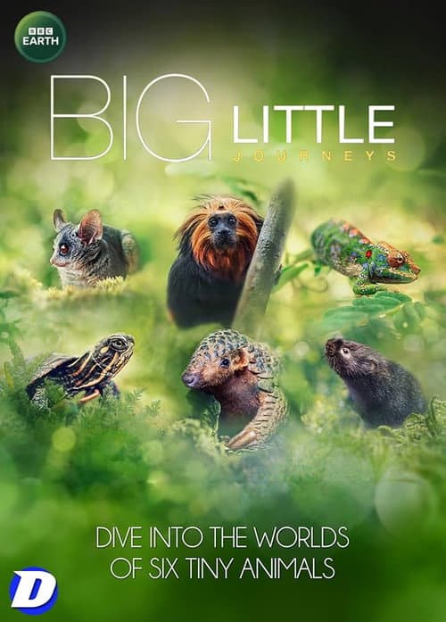 Big Little Journeys Season 1 poster