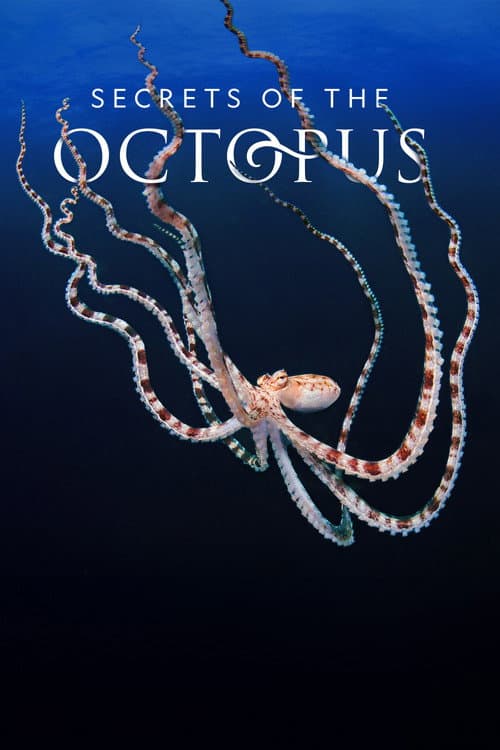 Secrets of the Octopus Miniseries poster
