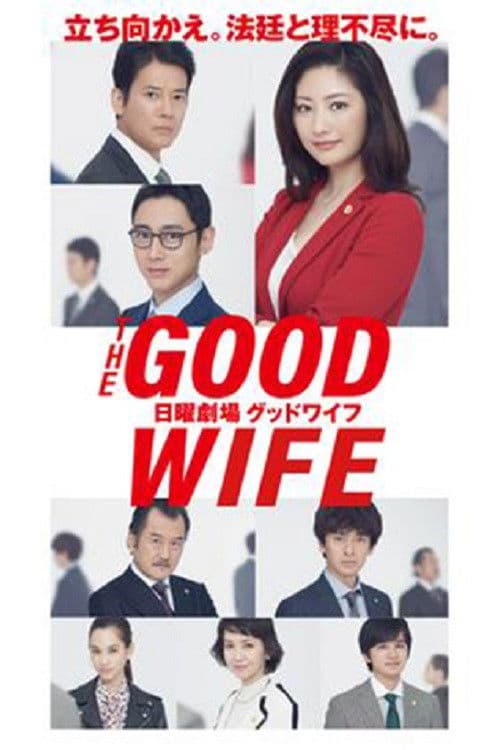 The Good Wife Season 1 poster