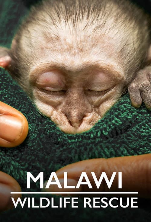 Malawi Wildlife Rescue Season 1 poster