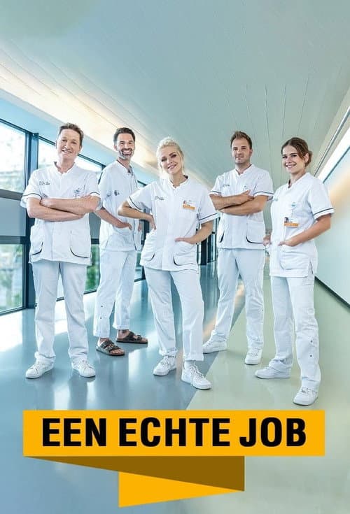 Een Echte Job Season 1 poster