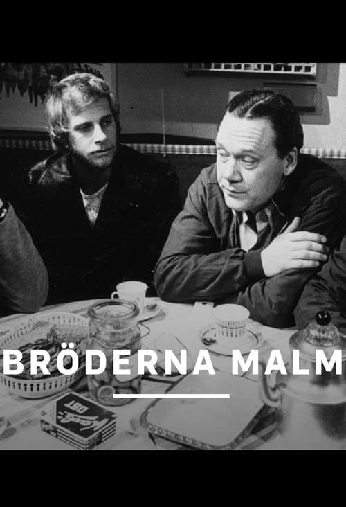 Bröderna Malm Season 2 poster