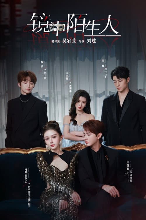 The Stranger in the Mirror Season 1 poster