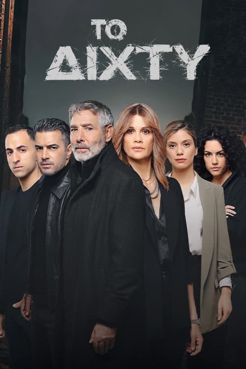The Net Season 2 poster