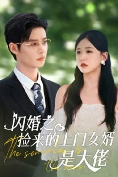The Son-in-Law Is the Boss Season 1 poster