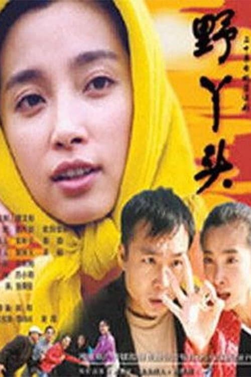 野丫头 Season 1 poster