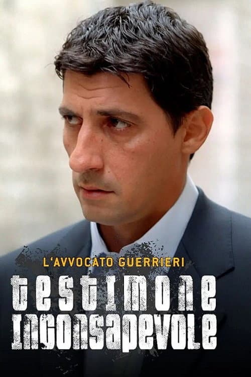 L'avvocato Guerrieri Season 1 poster