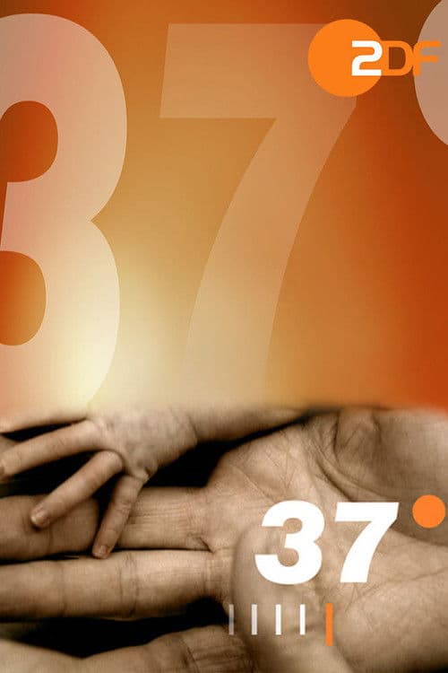 37 Grad Season 2 poster