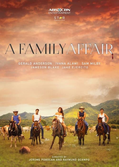 A Family Affair Season 1 poster