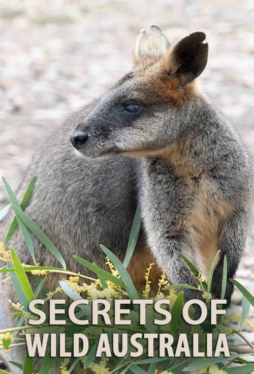 Secrets of Wild Australia Miniseries poster