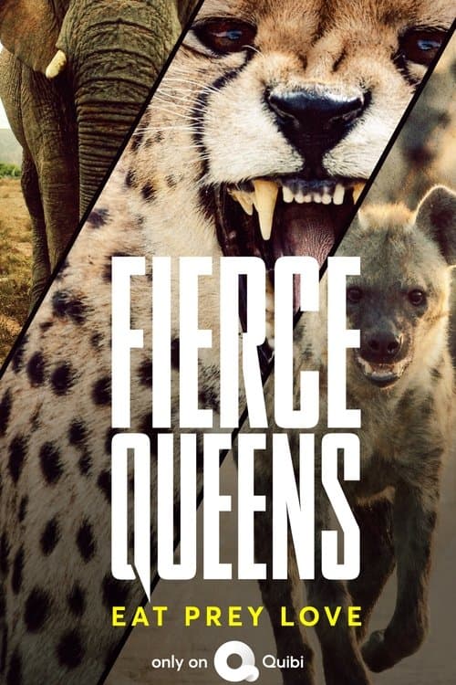 Fierce Queens Season 1 poster