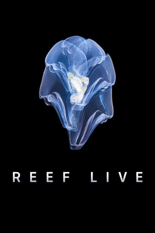 Reef Live Season 1 poster