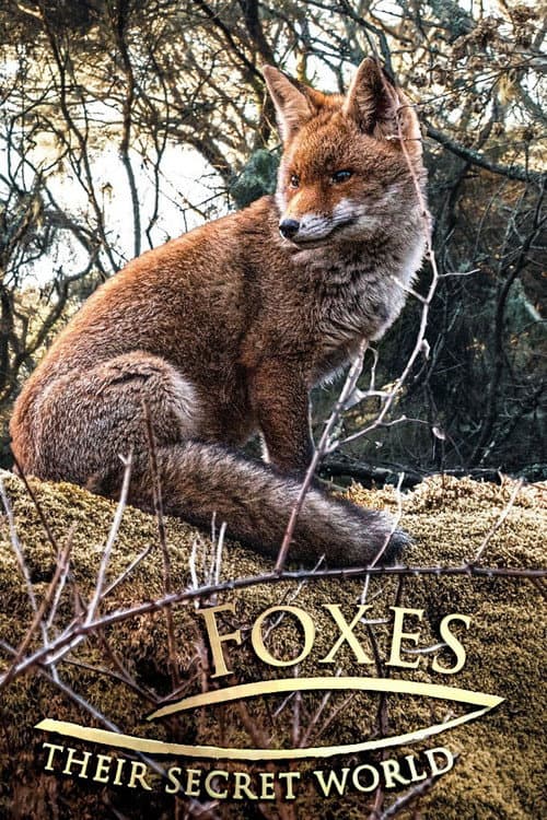Foxes: Their Secret World Miniseries poster