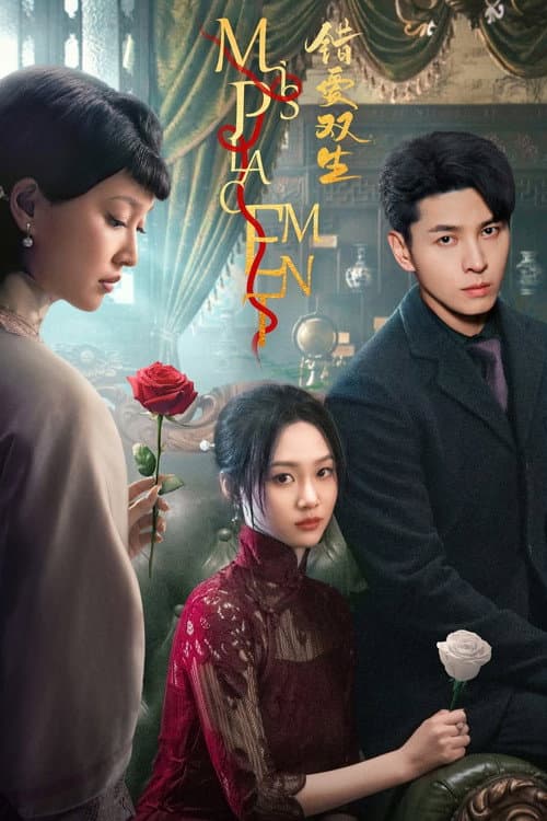 Misplacement Season 1 poster