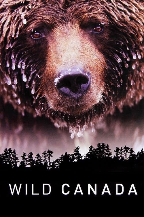 Wild Canada Season 1 poster