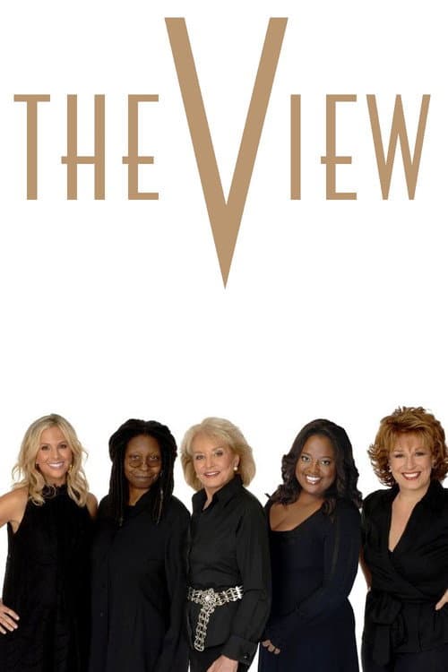 The View Season 15 poster