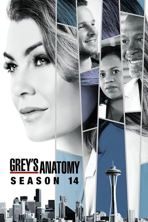 Grey's Anatomy Season 14 poster