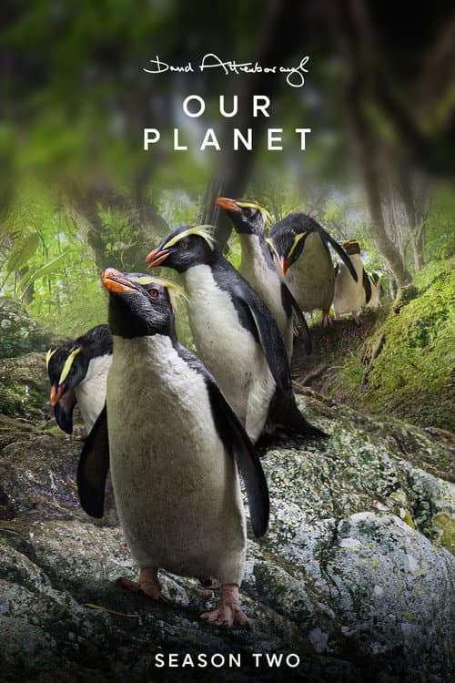 Our Planet Our Planet II poster