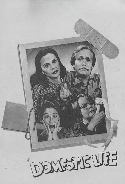 Domestic Life Season 1 poster