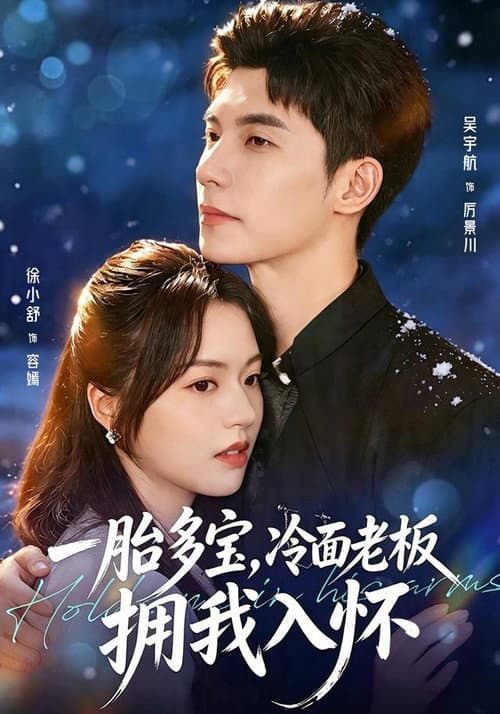 一胎多宝，冷面老板拥我入怀 Season 1 poster