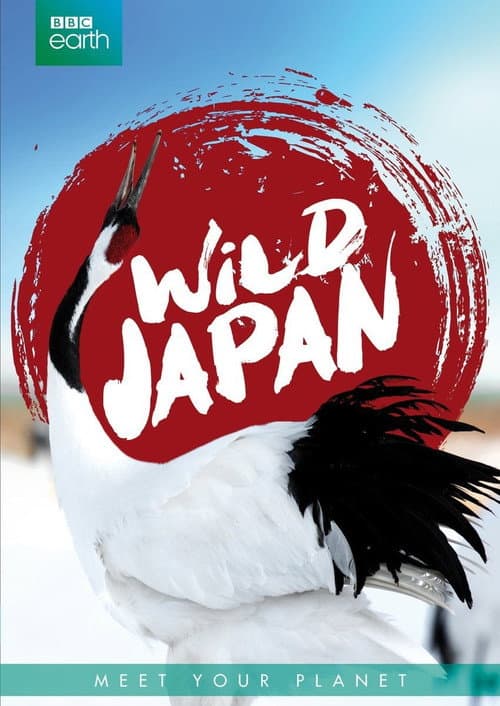 Japan: Earth's Enchanted Islands Miniseries poster