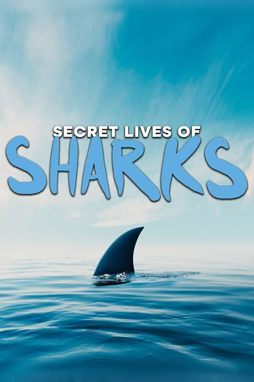 The Secret Lives of Sharks Season 1 poster