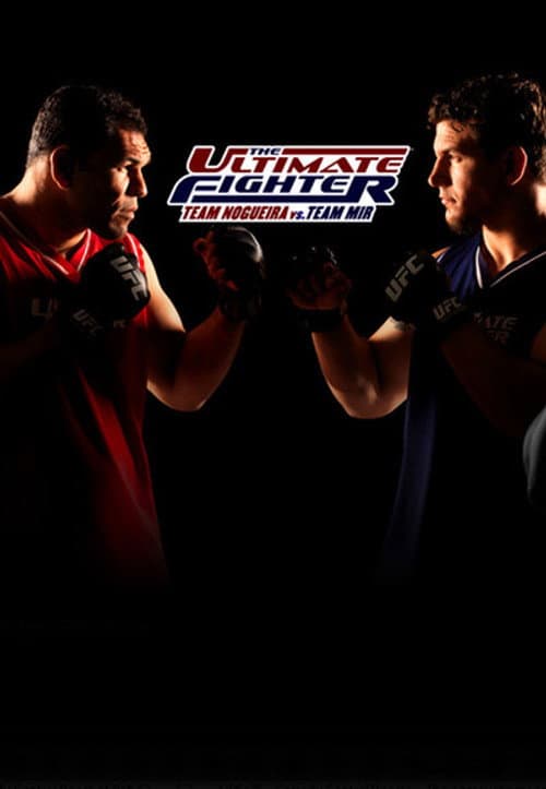 The Ultimate Fighter Team Nogueira vs. Team Mir poster