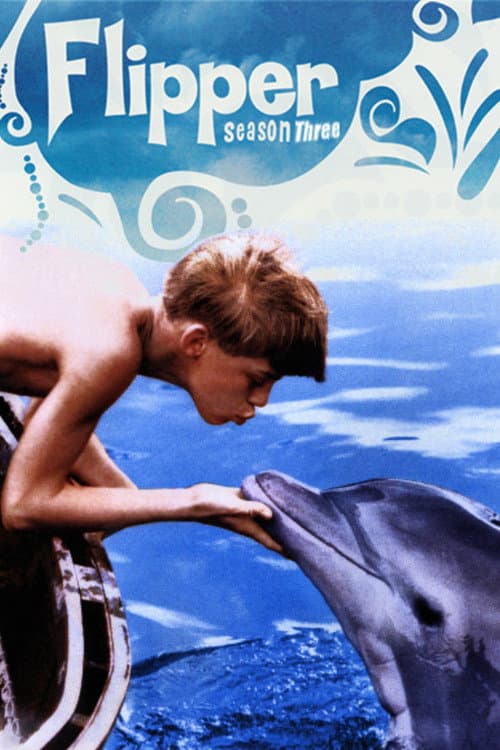 Flipper Season 3 poster