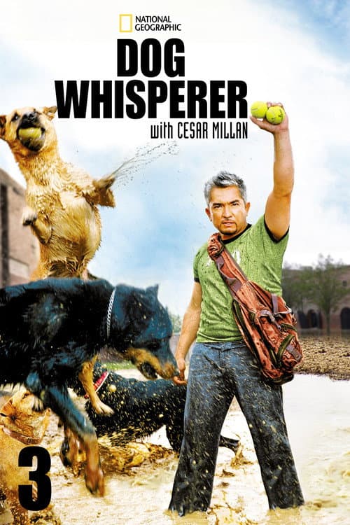 Dog Whisperer Season 3 poster