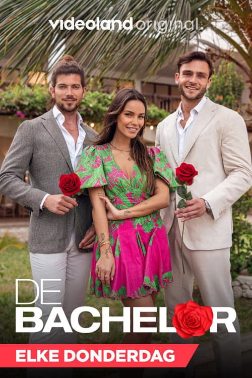 De Bachelor Season 3 poster