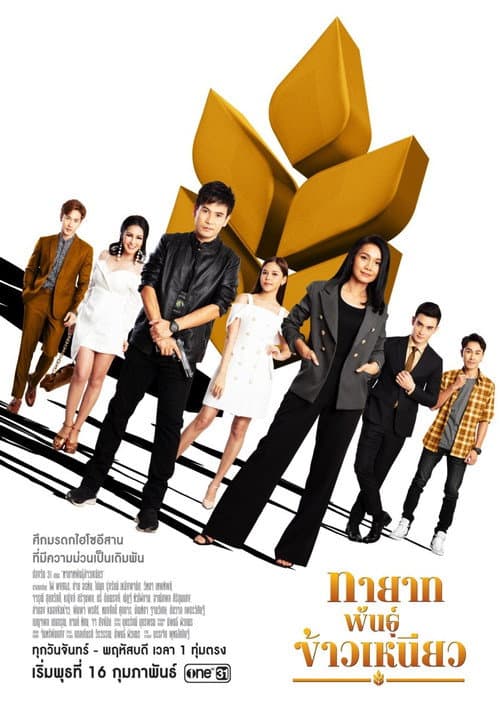 Family Harmony Season 1 poster